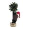 EUROPALMS Weihnachtsbär, mit Tanne, 105cm