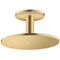 Kopfbrause 300 1jet AXOR Deckenmontage brushed gold optic