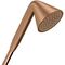 Handbrause 1jet AXOR DN 15, designed by Front brushed bronze