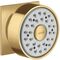 Seitenbrause 1jet AXOR DN 15, eckige Rosette brushed gold optic