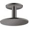 Kopfbrause 250 1jet AXOR Deckenmontage brushed black chrome