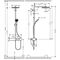 HG Showerpipe 260 1jet PULSIFY mit Brausethermostat mattschwarz