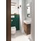 V&B WC-Sitz AVENTO Scharn a ES m SC Funktion we alpin