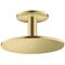 Kopfbrause 300 1jet AXOR Deckenmontage brushed brass