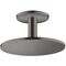 Kopfbrause 300 1jet AXOR Deckenmontage brushed black chrome