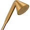 Handbrause 1jet AXOR DN 15 desig by Front brushed gold optic