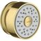 Seitenbrause AXOR 1jet DN 15, runde Rosette brushed brass