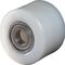 Gabelrolle PA Naben-L.100mm Rad-B.100mm D.85mm BS ROLLEN