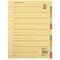Soennecken Register 1526 DIN A4 blanko volle Höhe Recycling farbig