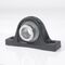 Stehlager-Gehäuseeinheit M-AELP206 D1 30mm Exzenterspannring NTN