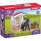 Pferdebox mit Horse Club Tori & Princess