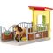 Ponybox mit Islandpferd Hengst