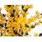 EUROPALMS Forsythienbaum mit 3 Stämmen, Kunstpflanze, gelb, 120cm