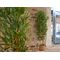 EUROPALMS Bambus deluxe, Kunstpflanze, 120cm