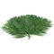 EUROPALMS Kokos-Palmwedel, künstlich, 110cm 12x