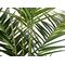 EUROPALMS Kentia Palme, Kunstpflanze, 240cm