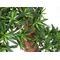EUROPALMS Bonsai-Palmenbaum, Kunstpflanze, 180cm
