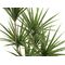 EUROPALMS Yucca Palme, Kunstpflanze, 130cm
