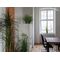EUROPALMS Orchideenzweig, künstlich, creme-weiß, 100cm