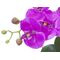 EUROPALMS Orchideen-Arrangement 4, künstlich