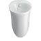 Duravit Absaug-Urinal WHITE TULIP rim. Zul von hinten mit Fliege weiß WG