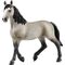 Cheval de Selle Francais Stute