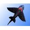 Bdt verstärkter 7m Drachenstab + Drachen, *Hai-LED* inkl. 50m Leine, 10erPack Batterien, 165x145cm