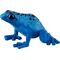 blauer Pfeilgiftfrosch