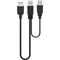 USB 2.0 Hi-Speed Dual-Power Kabel, schwarz, 0.3m- VPE: 1