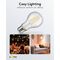 Filament-LED-Birne, 4 W- VPE: 1