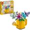 Creator Gießkanne mit Blumen