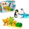 Duplo Wildtier-Familien: Pinguine und Lö