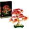 Botanical Japanischer Roter Ahorn – Bons