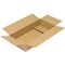 Faltkarton 1-wellig Maße 420x200x80mm Qualität 1.20 B braun TRANSPAK - VPE: 20