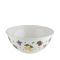 RIESS  Schüssel Emaille 22cm Fruit Ga