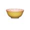 Mikasa  MIK Bowl YelFloral gelb 15.5 - 4 VPE