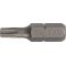 Bit P829159 1/4 Zoll T 6 L.25mm TECWERK - VPE: 10