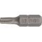 Bit P829189 1/4 Zoll T 10 L.25mm m.Bohr.TECWERK - VPE: 10